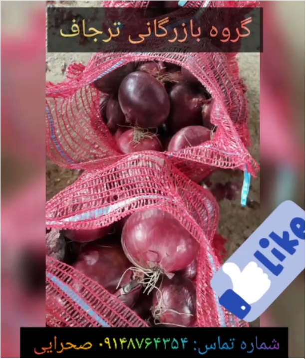 گروه بازرگانی ترجاف