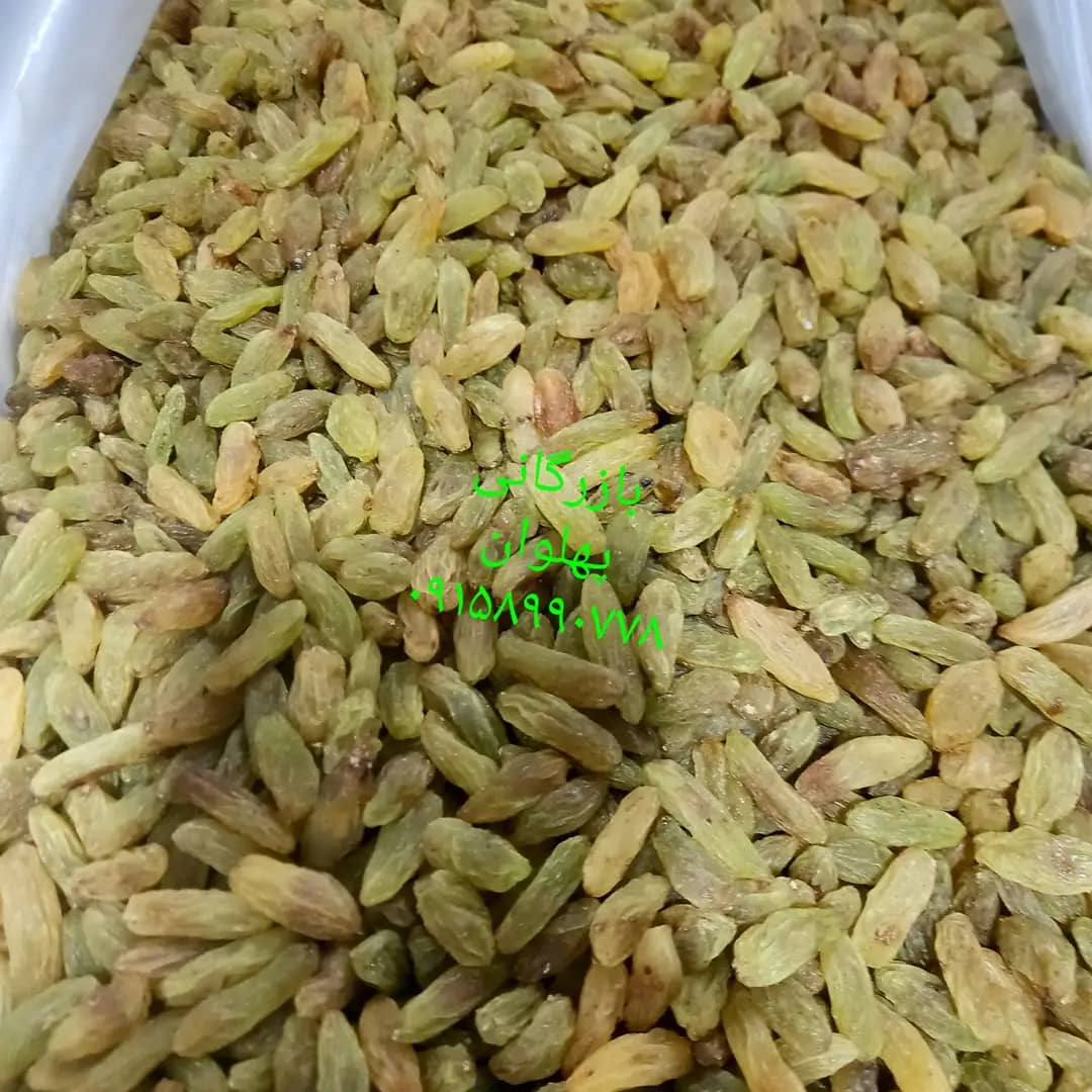 تامین کننده و بازرگانی کشمش