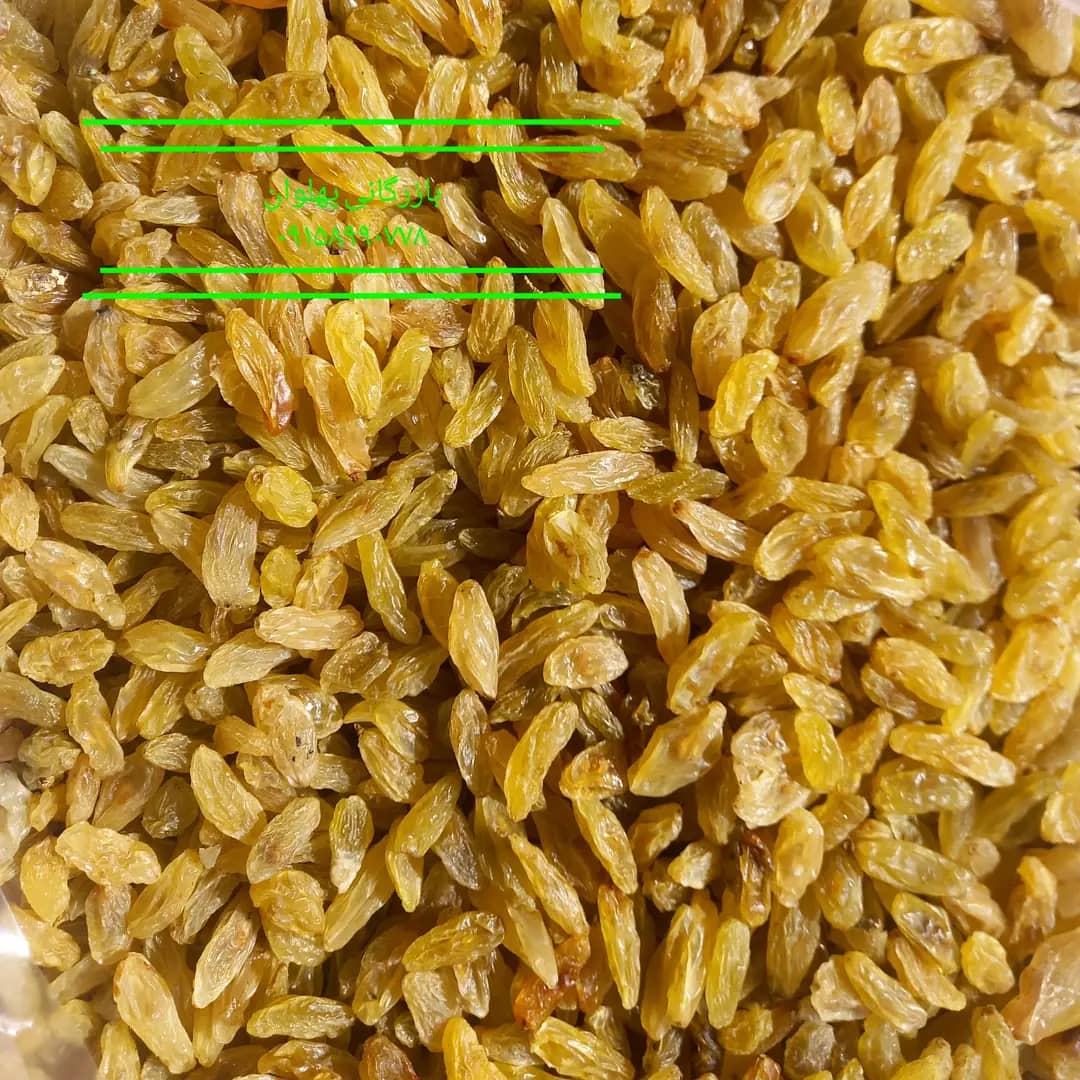 تامین کننده و بازرگانی کشمش
