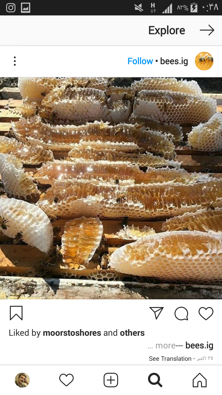 عسل طبیعی و ارگانیک