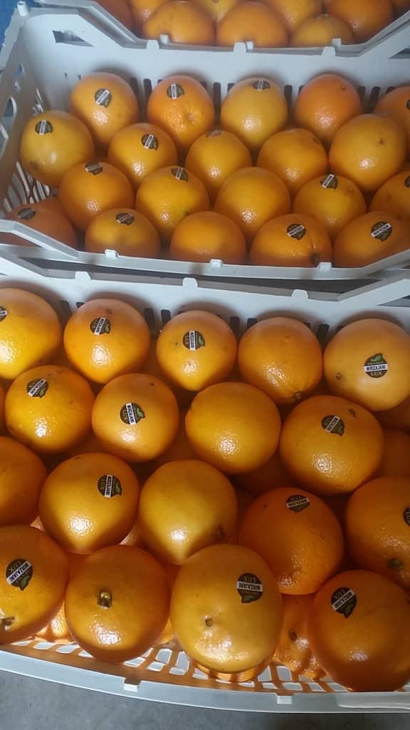 پرتقال درمان فصل سرما