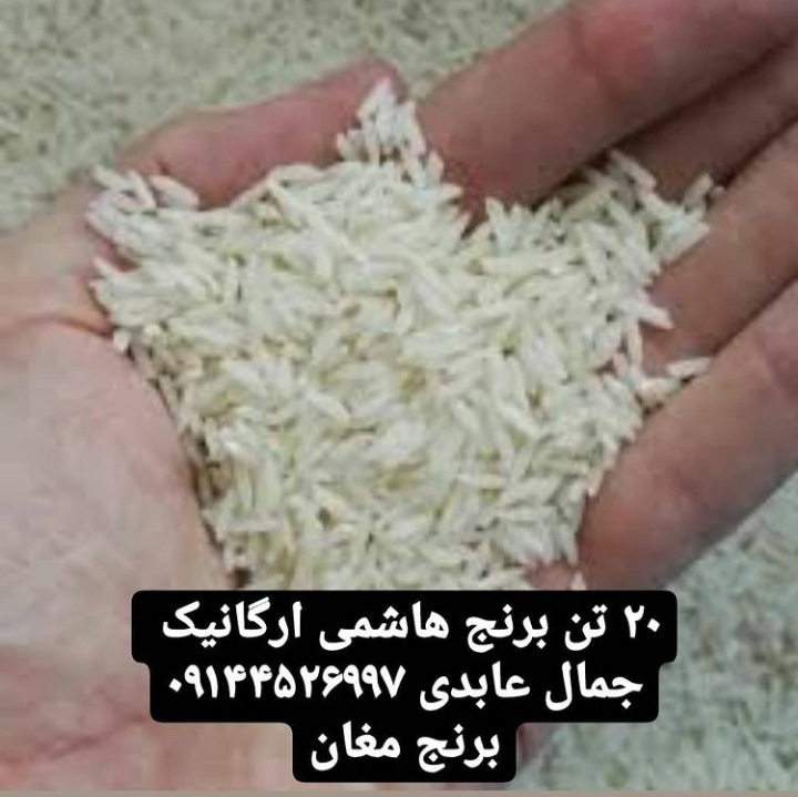 برنج هاشمی ارگانیک