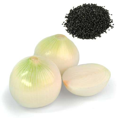 فروش بذر پیاز سفید