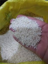 برنج عنبربو کشت امسال