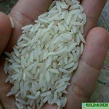 برنج هاشمی دوالک