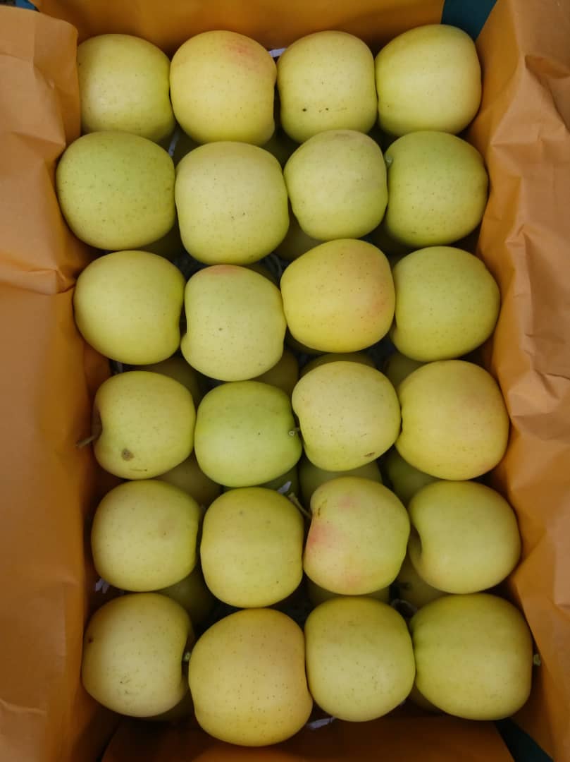سیب فیروزکوه