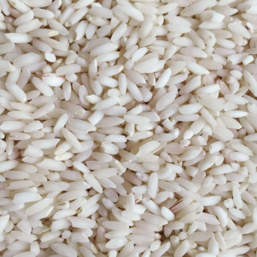 برنج عنبربو کشت امسال