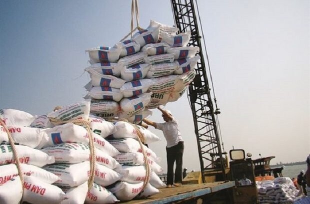 واردات برنج خارجی شبیه طارم به کشور با قیمت کیلویی ۳۵ هزار تومان